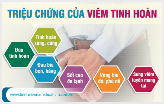 Dấu hiệu nhận biết viêm tinh hoàn không nên bỏ qua